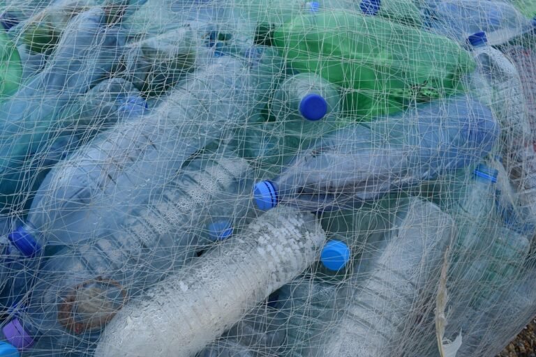 fishing net, plastic bottles, rubbish, netting, bottles, beach, cleanup, garbage, recycling, nature, single-use plastic, earth day